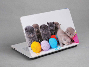 Kitten, Colored Ball Laptop decal Skin for SONY VAIO Fit 15E SVF1531GSAW 8509-533-Pattern ID:532
