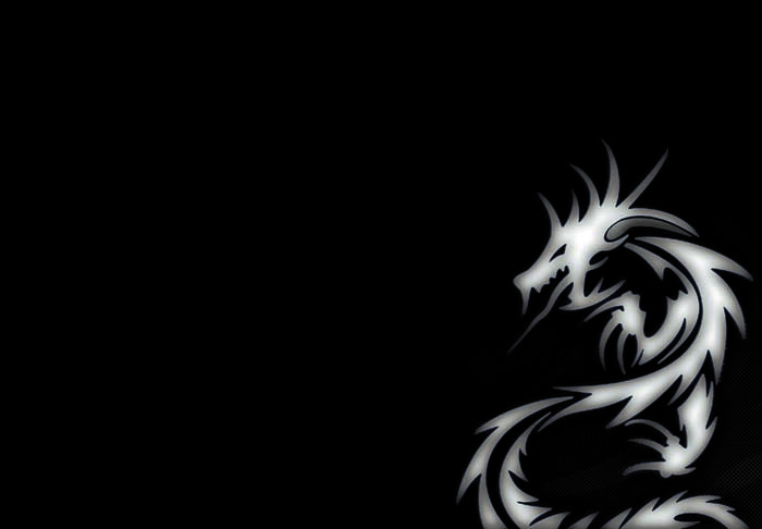 Black and White Dragon Mouse pad for ASUS K73SM 
